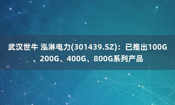 武汉世牛 泓淋电力(301439.SZ)：已推出100G、200G、400G、800G系列产品