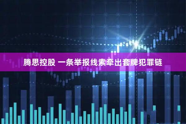 腾思控股 一条举报线索牵出套牌犯罪链