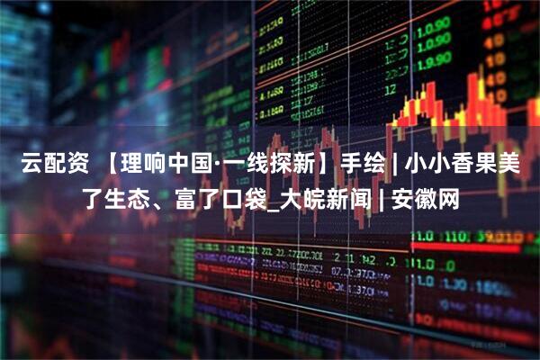 云配资 【理响中国·一线探新】手绘 | 小小香果美了生态、富了口袋_大皖新闻 | 安徽网