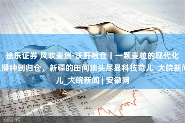 途乐证券 风吹麦浪·沃野粮仓丨一颗麦粒的现代化旅程——从播种到归仓，新疆的田间地头尽显科技范儿_大皖新闻 | 安徽网