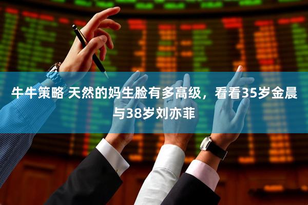 牛牛策略 天然的妈生脸有多高级，看看35岁金晨与38岁刘亦菲