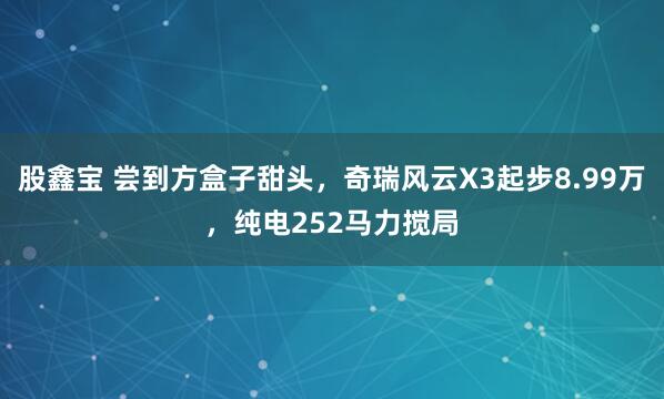 股鑫宝 尝到方盒子甜头，奇瑞风云X3起步8.99万，纯电252马力搅局