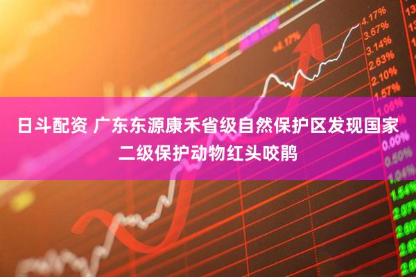 日斗配资 广东东源康禾省级自然保护区发现国家二级保护动物红头咬鹃
