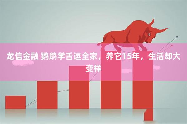 龙信金融 鹦鹉学舌逗全家，养它15年，生活却大变样