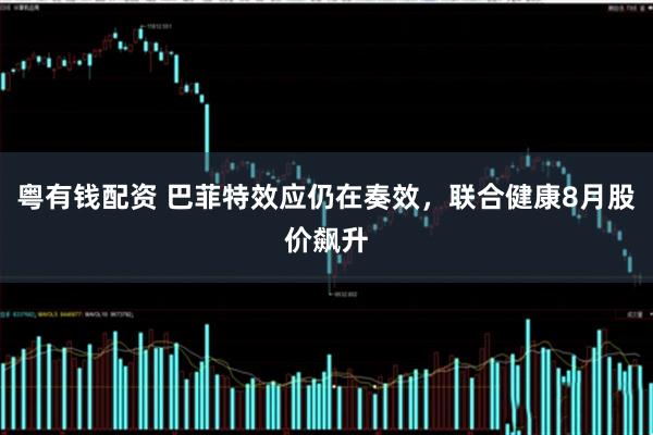 粤有钱配资 巴菲特效应仍在奏效，联合健康8月股价飙升